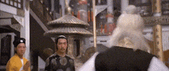 kung fu come at me bro GIF by Shaw Brothers