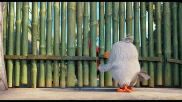 Movie gif. Just as Gray bird from "Angry Birds" approaches a bamboo gate, Red pushes through and walks in, sending her flying.