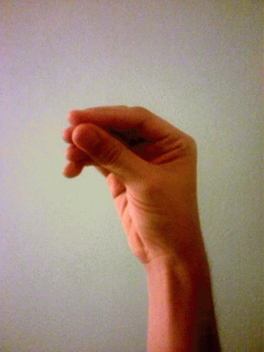 andreiwoodlegbulai wtf are you saying? GIF