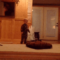 baby fall GIF by AFV Epic Fails