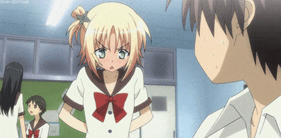 cat  GIF