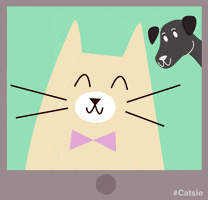cat dog GIF by Christina Lu