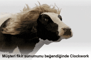 clockwork  GIF