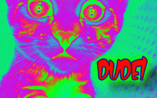 Cat Weed GIF