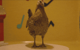 movie scene chicken GIF by Fandor