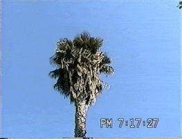 marty  GIF