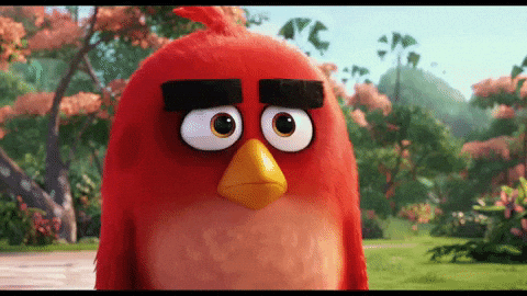 Angry Birds Rio GIFs - Get the best GIF on GIPHY