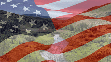 outcryer america captain america eagle fourth of july GIF