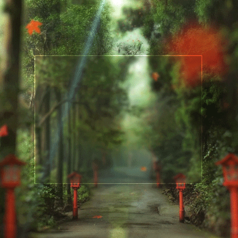 y4x0 judy&carlos GIF