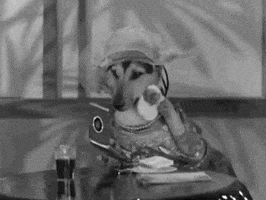 black and white dog GIF by Warner Archive