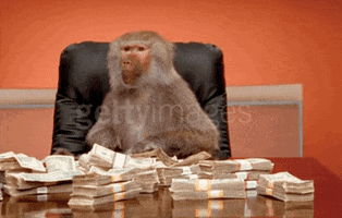 Video gif. A baboon sitting at a desk with a pile of money in front of it begins to throw dollar bills in the air.