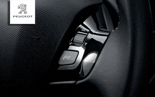 peugeot  GIF