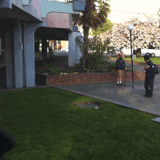 ronvanzetta victoria bc 1 day centen GIF