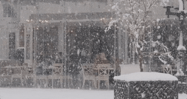Jeremiah Tower Snow GIF by 1091