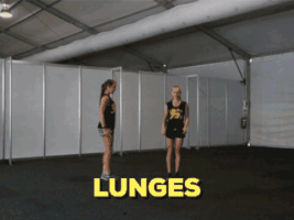 ArcUNSW  GIF