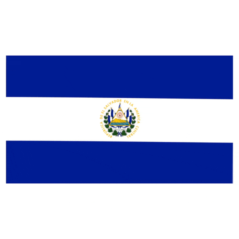 El Salvador Flag GIF by Latinoji