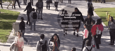 sustainabull  GIF