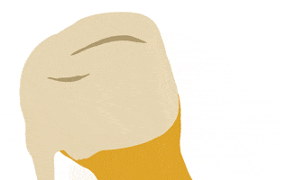 stampydoo-app beer afterwork eltaller stampydoo GIF