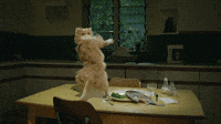 200w.gif