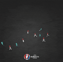 uefa-euro-2016  GIF