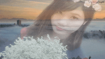 pan  GIF