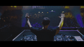hands up house GIF by Hardwell