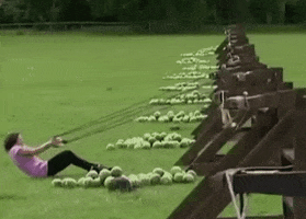 ouch watermelon catapult GIF by Tomas Ferraro, Sports Editor