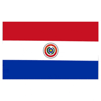 Flag Paraguay GIF by Latinoji