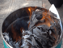 200.gif?cid=fc005b0879ada771fa9089dae8cf5fb512038c22e6132cf0&rid=200.gif&ct=g