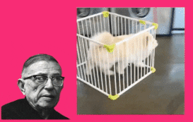 gerkotempelman philosophy sartre filosofie jean paul sartre GIF