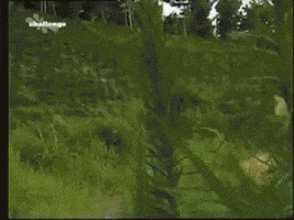 andrelapa  GIF