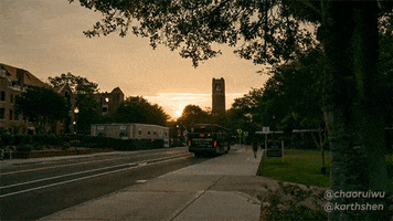 gators uf GIF by University of Florida