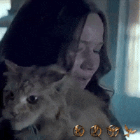 Katniss-everdeen-fc GIFs - Get the best GIF on GIPHY