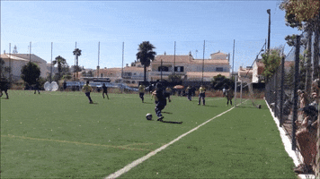 goncalogaspar  GIF