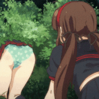 chicken  GIF
