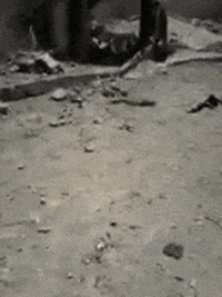 albadersy  GIF