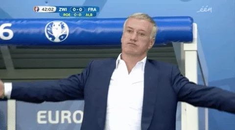 Frustrated France GIF