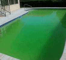 culdalau piscina aquamar solutions campanie2 GIF