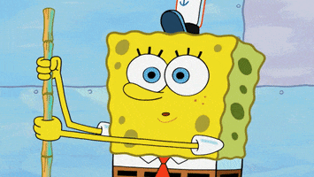 Happy Surprise GIF by SpongeBob SquarePants