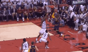molnarm69  GIF