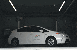 mayasugarman mayasugarman GIF