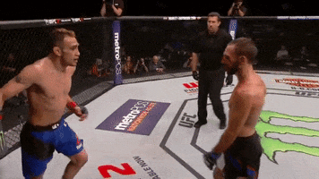 In The Face Mma GIF by UFC