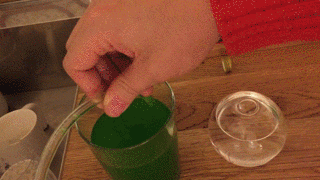 sirqusalfon  GIF