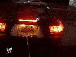 just married wrestling GIF by WWE