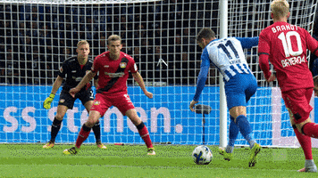 goal style GIF by Hertha BSC