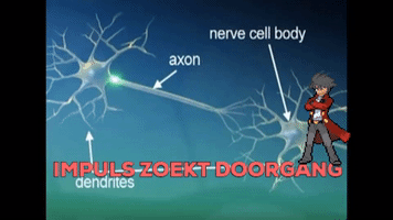 Brainpower Neurotransmitters GIF