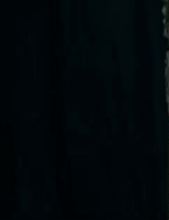 200.gif?cid=fc005b08f55cd40801b9d7b6ca10b8658e15a8cd4ba973ea&rid=200.gif&ct=g