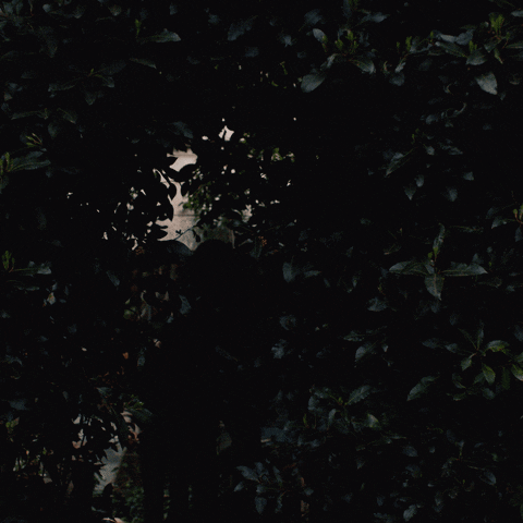 alex lawther james GIF by The End Of The F***ing World