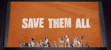 pledge your love save them all GIF by Best Friends Animal Society