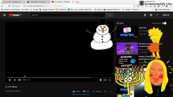 Steve GIF